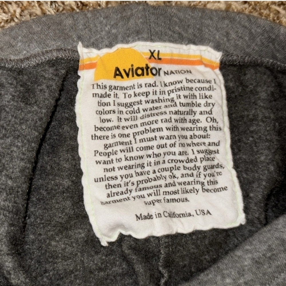 Avaitor Nation Gray Sweatpants with Neon Stripes - Picture 6 of 7